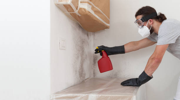 Attic Mold Remediation treatment on roof deck in Mont Alto